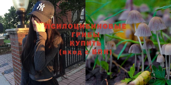мет Верхний Тагил