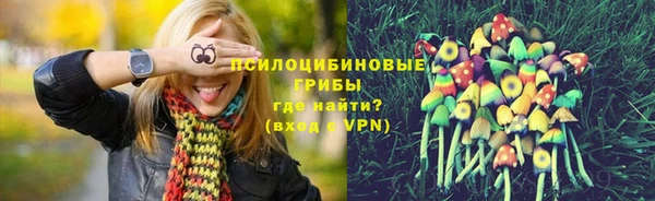 соль ск Верея