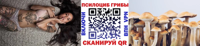 как найти   Кировск  Галлюциногенные грибы MAGIC MUSHROOMS 